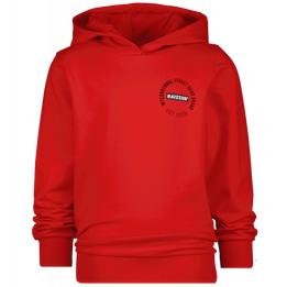 Overview image: hooded sweater