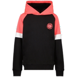 Overview image: hoodie