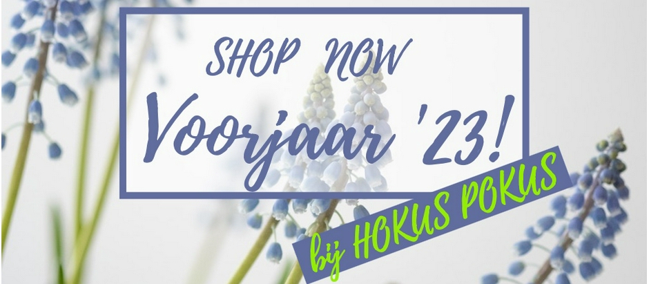 slider image: Hokus Pokus kinderkleding