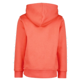 Overview second image: Hoodie