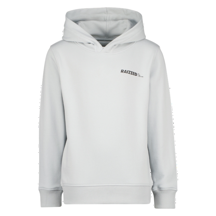 Hoodie-Raizzed-230217154450