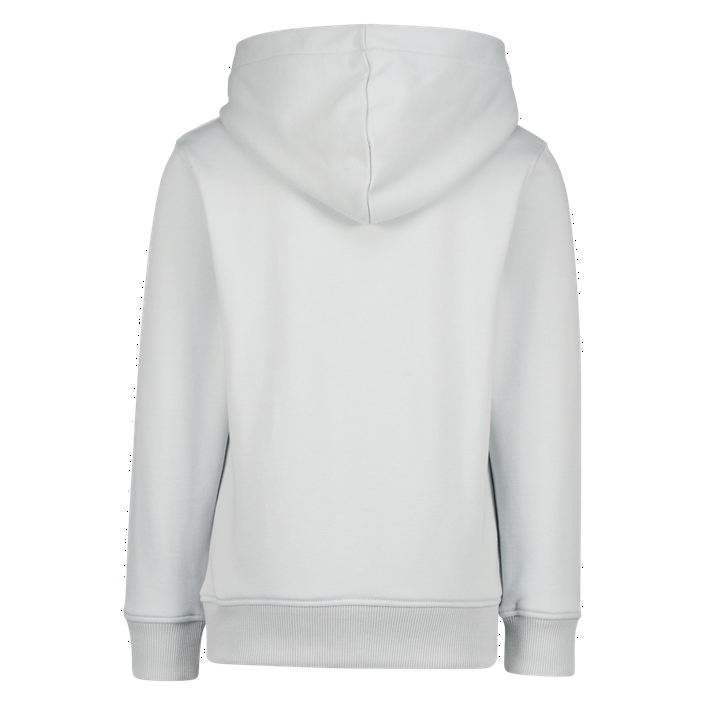Hoodie-Raizzed-230217154453