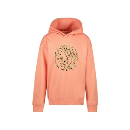 Overview image: Hoodie
