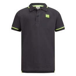 Overview image: Polo