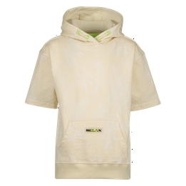 Overview image: hoodie
