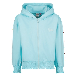 Overview image: Hooded Vest