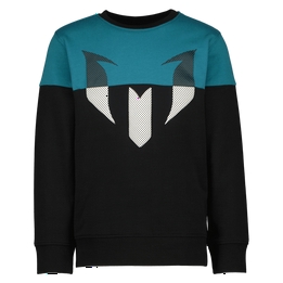 Overview image: Sweater