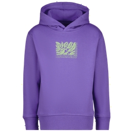 Overview image: Hoodie