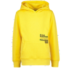 Overview image: Hoodie