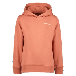 Overview image: Hoodie