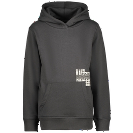 Overview image: hoodie